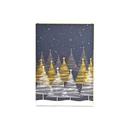 Calendrier de l'Avent - "Le Livre de l'Avent"