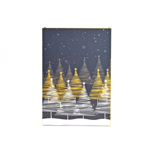 Calendrier de l'Avent - "Le Livre de l'Avent"